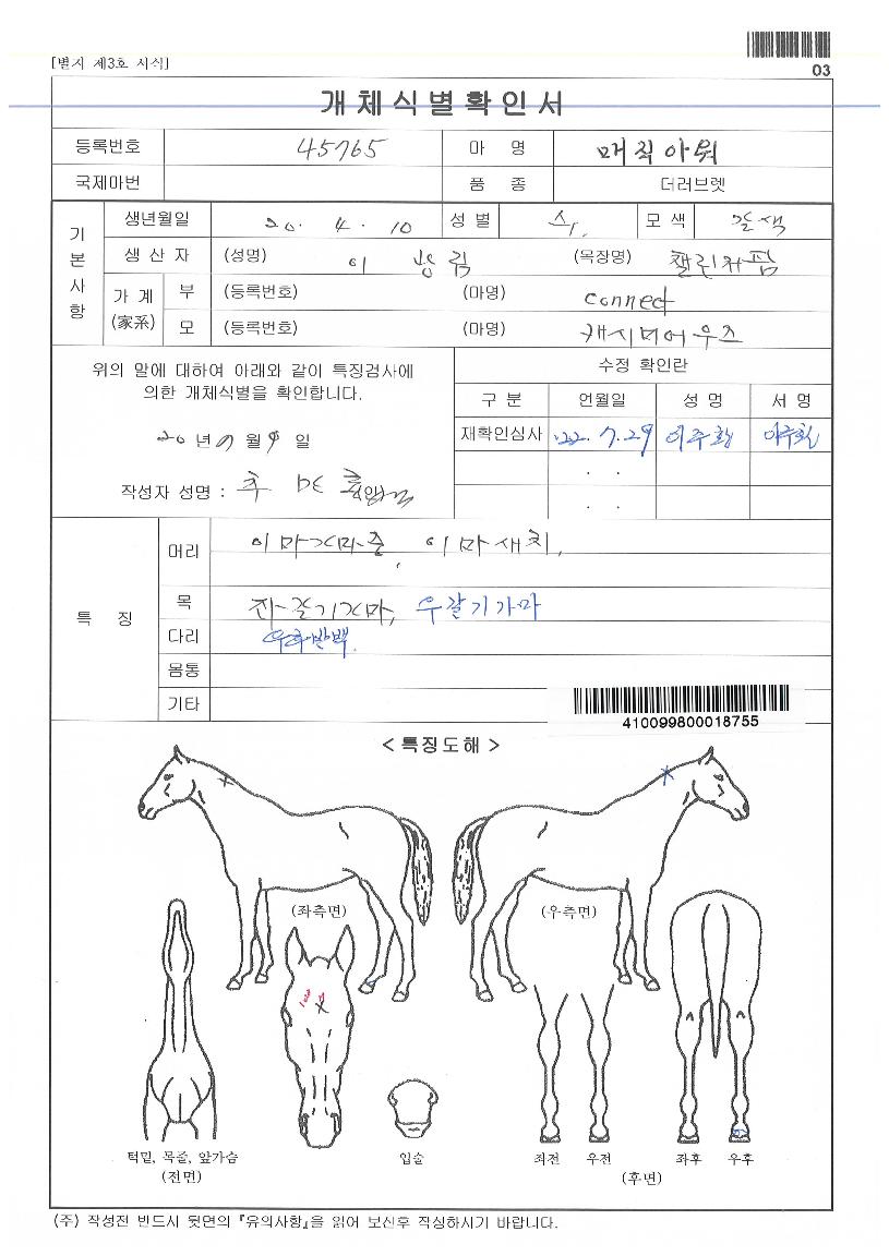 ¸ÅÁ÷¾Æ¿öÀÇ Ãø¸é,¿ì¸é,µÞ¸é,µÎ»ó,´Ù¸®ÀÇ Æ¯Â¡µµÇØ