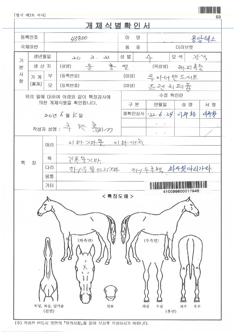 ¿ë¾Ï·º½ºÀÇ Ãø¸é,¿ì¸é,µÞ¸é,µÎ»ó,´Ù¸®ÀÇ Æ¯Â¡µµÇØ