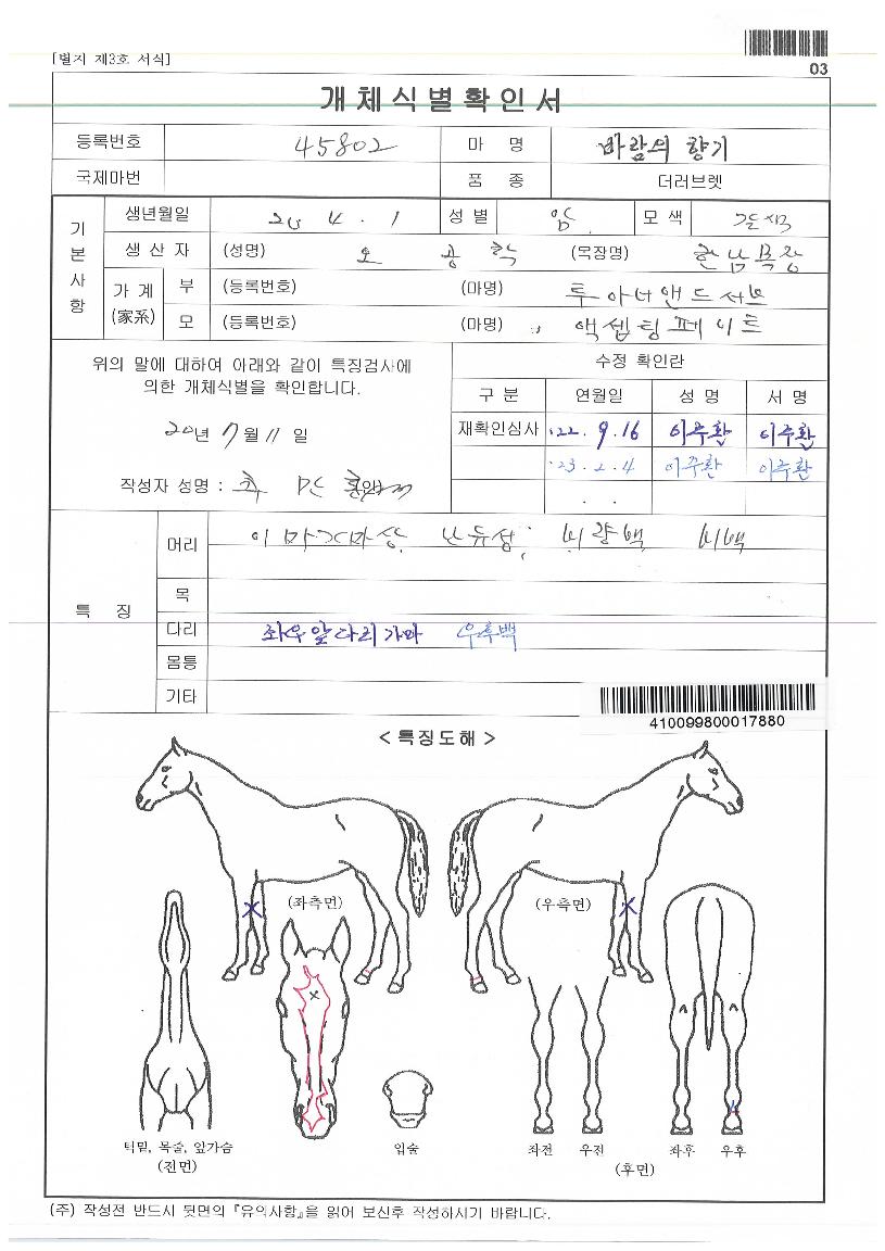 ¹Ù¶÷ÀÇÇâ±âÀÇ Ãø¸é,¿ì¸é,µÞ¸é,µÎ»ó,´Ù¸®ÀÇ Æ¯Â¡µµÇØ