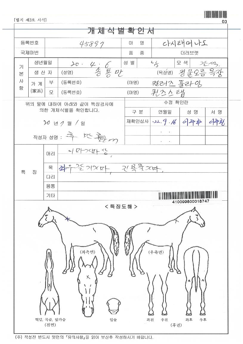 ´Ù½ÃžµµÀÇ Ãø¸é,¿ì¸é,µÞ¸é,µÎ»ó,´Ù¸®ÀÇ Æ¯Â¡µµÇØ