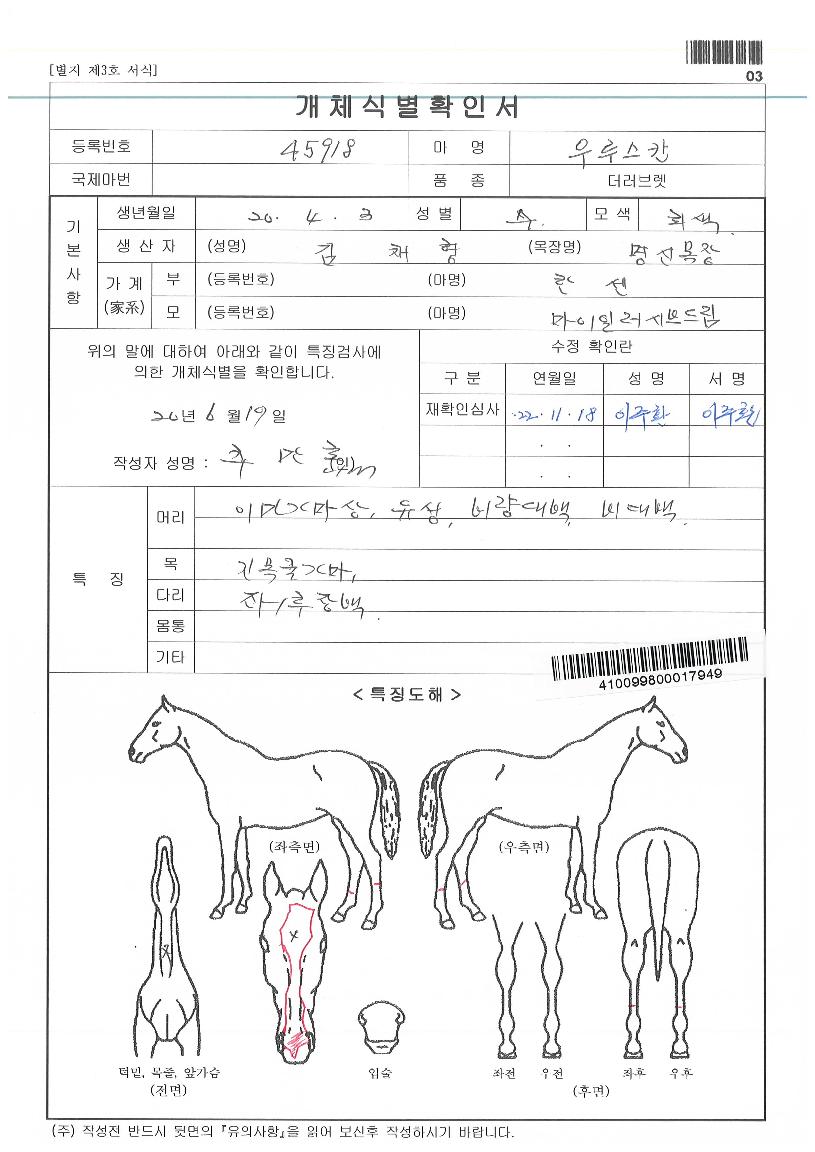 ¿ì·ç½ºÄÀÇ Ãø¸é,¿ì¸é,µÞ¸é,µÎ»ó,´Ù¸®ÀÇ Æ¯Â¡µµÇØ