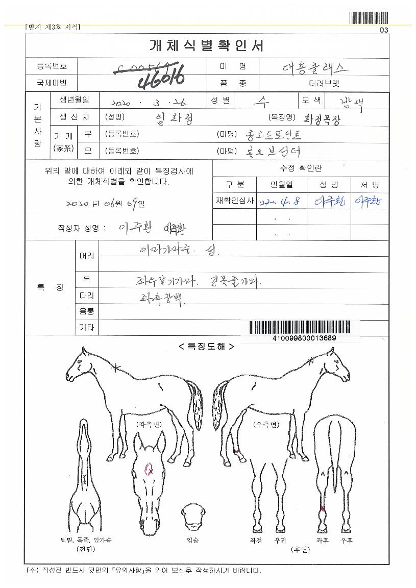 ´ëÈïŬ·¡½ºÀÇ Ãø¸é,¿ì¸é,µÞ¸é,µÎ»ó,´Ù¸®ÀÇ Æ¯Â¡µµÇØ