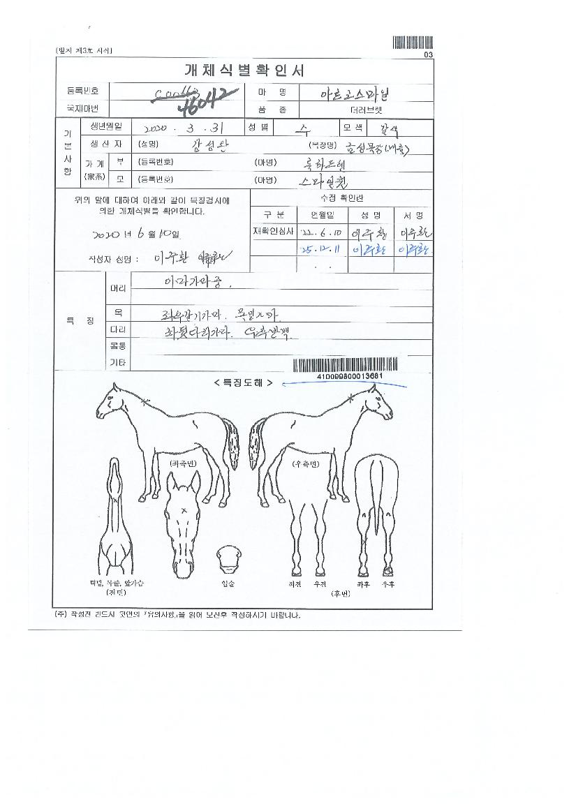 ¾Æ¸£°í½º¸¶ÀÏÀÇ Ãø¸é,¿ì¸é,µÞ¸é,µÎ»ó,´Ù¸®ÀÇ Æ¯Â¡µµÇØ