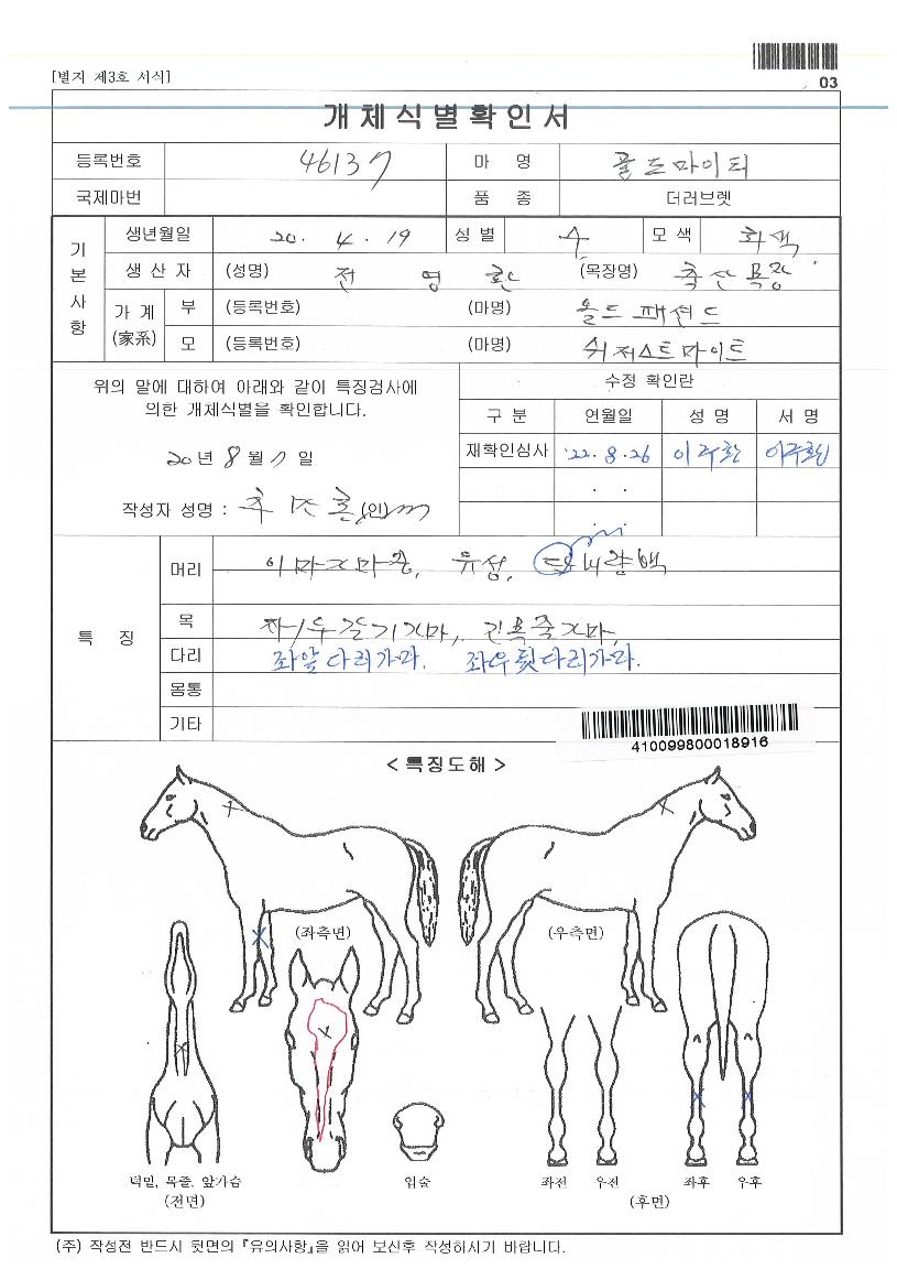 °ñµå¸¶ÀÌÆ¼ÀÇ Ãø¸é,¿ì¸é,µÞ¸é,µÎ»ó,´Ù¸®ÀÇ Æ¯Â¡µµÇØ