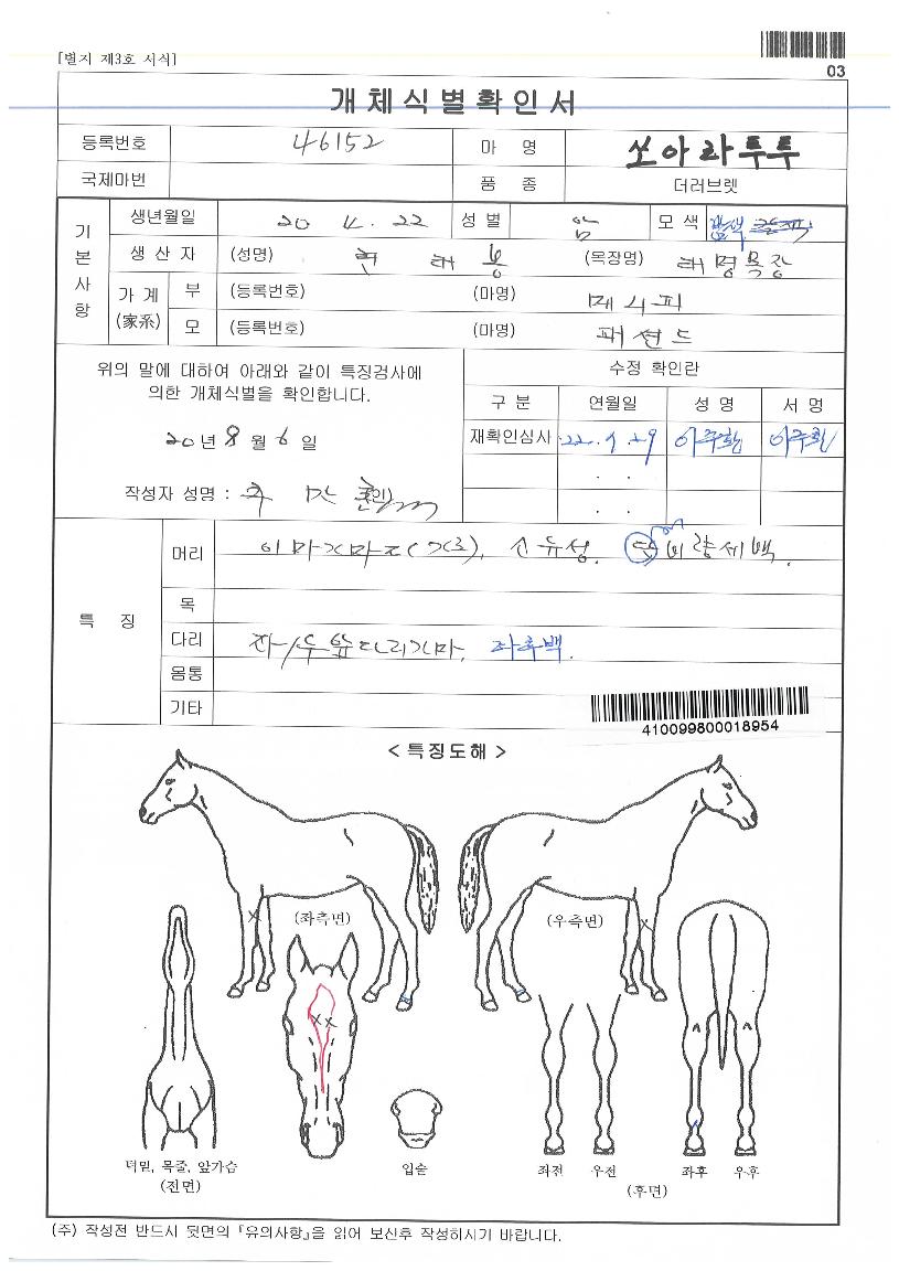 ½î¾Æ¶óÅõÅõÀÇ Ãø¸é,¿ì¸é,µÞ¸é,µÎ»ó,´Ù¸®ÀÇ Æ¯Â¡µµÇØ