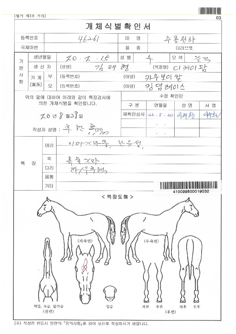 ÁÖ¸ùõÇÏÀÇ Ãø¸é,¿ì¸é,µÞ¸é,µÎ»ó,´Ù¸®ÀÇ Æ¯Â¡µµÇØ