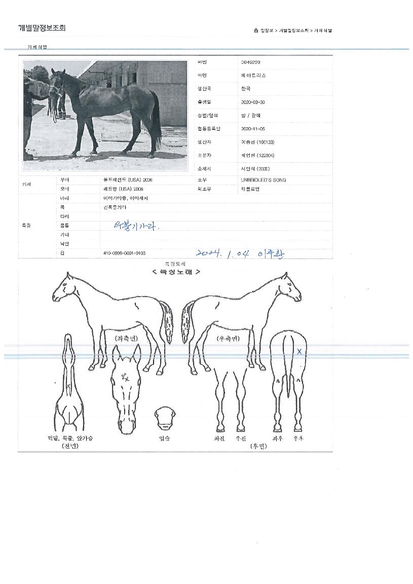 º£¾ÆÆ®¸®½ºÀÇ Ãø¸é,¿ì¸é,µÞ¸é,µÎ»ó,´Ù¸®ÀÇ Æ¯Â¡µµÇØ