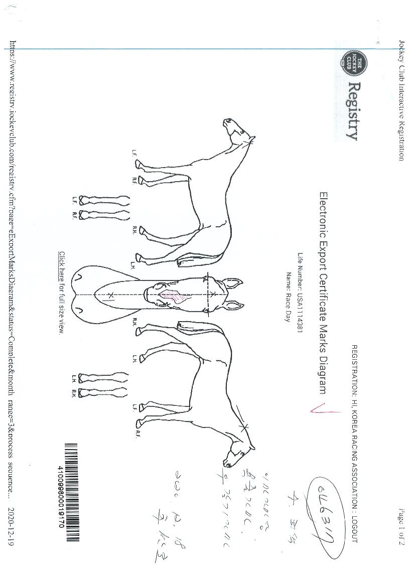 ·¹À̽ºµ¥ÀÌÀÇ Ãø¸é,¿ì¸é,µÞ¸é,µÎ»ó,´Ù¸®ÀÇ Æ¯Â¡µµÇØ