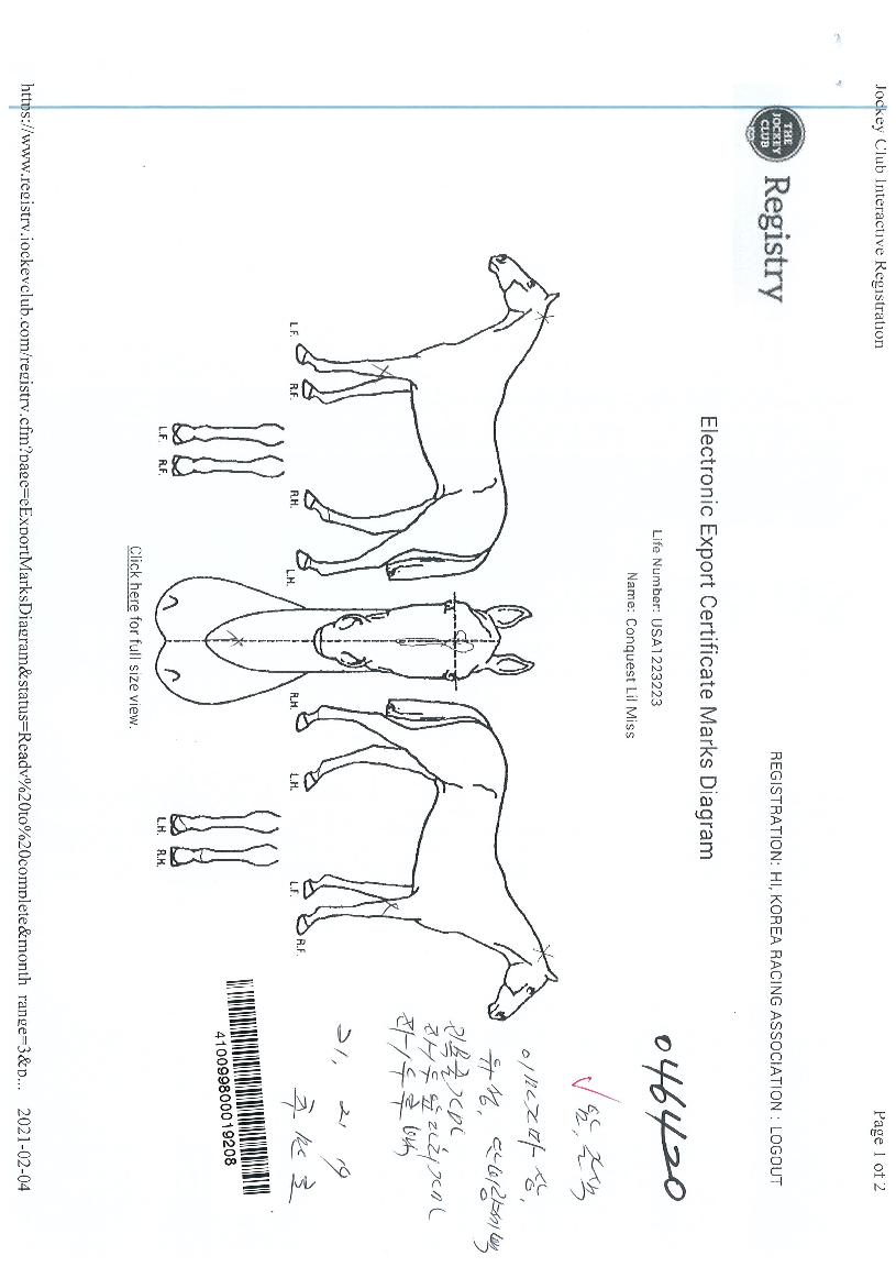 ÄÜÄù½ºÆ®¸±¹Ì½ºÀÇ Ãø¸é,¿ì¸é,µÞ¸é,µÎ»ó,´Ù¸®ÀÇ Æ¯Â¡µµÇØ