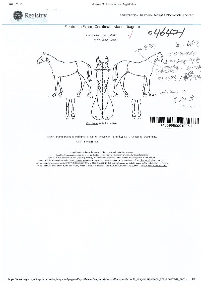 »õ½Ã¾Æ±×³×½ºÀÇ Ãø¸é,¿ì¸é,µÞ¸é,µÎ»ó,´Ù¸®ÀÇ Æ¯Â¡µµÇØ