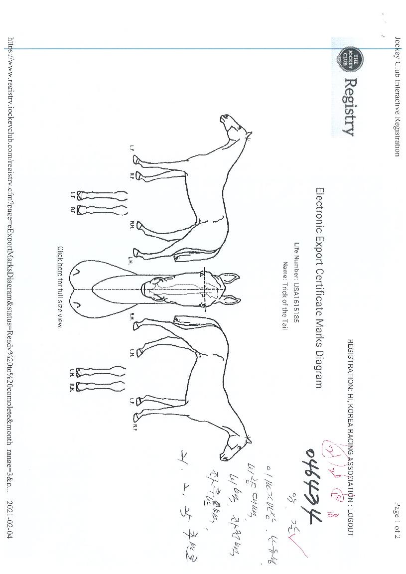 Æ®¸¯¿Àºê´õÅ×ÀÏÀÇ Ãø¸é,¿ì¸é,µÞ¸é,µÎ»ó,´Ù¸®ÀÇ Æ¯Â¡µµÇØ