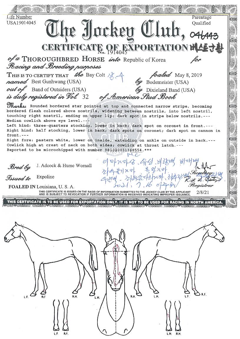 º£½ºÆ®±ºÈ²ÀÇ Ãø¸é,¿ì¸é,µÞ¸é,µÎ»ó,´Ù¸®ÀÇ Æ¯Â¡µµÇØ