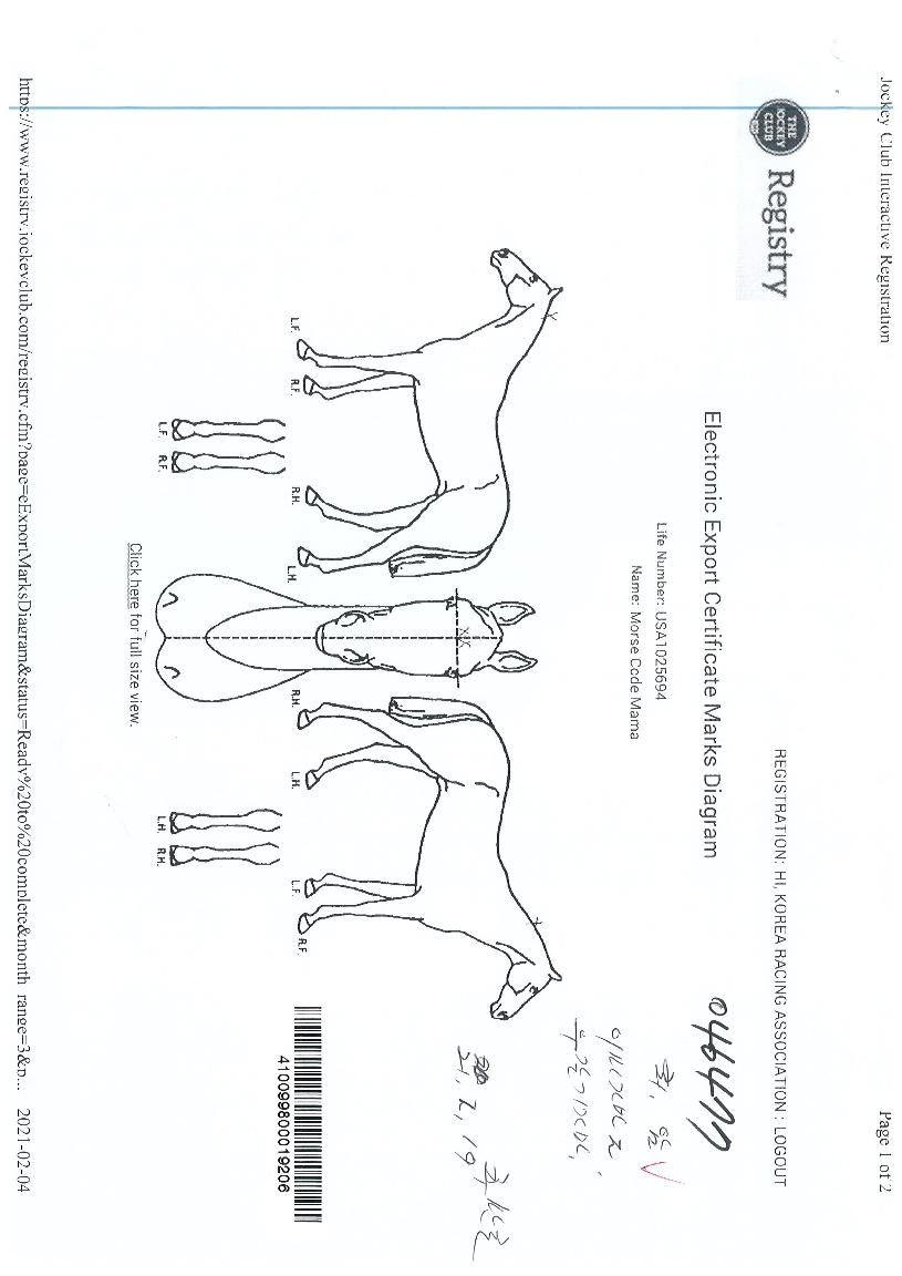 ¸ð½ºÄڵ帶¸¶ÀÇ Ãø¸é,¿ì¸é,µÞ¸é,µÎ»ó,´Ù¸®ÀÇ Æ¯Â¡µµÇØ