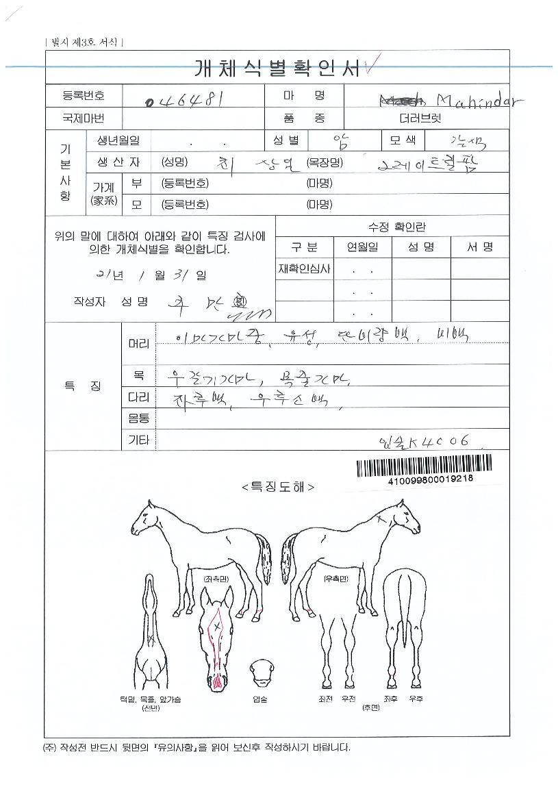 ¸¶Èùµå¶óÀÇ Ãø¸é,¿ì¸é,µÞ¸é,µÎ»ó,´Ù¸®ÀÇ Æ¯Â¡µµÇØ