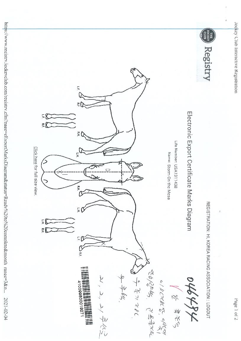 ½ºÅè¿Â´õ¸Þ»çÀÇ Ãø¸é,¿ì¸é,µÞ¸é,µÎ»ó,´Ù¸®ÀÇ Æ¯Â¡µµÇØ