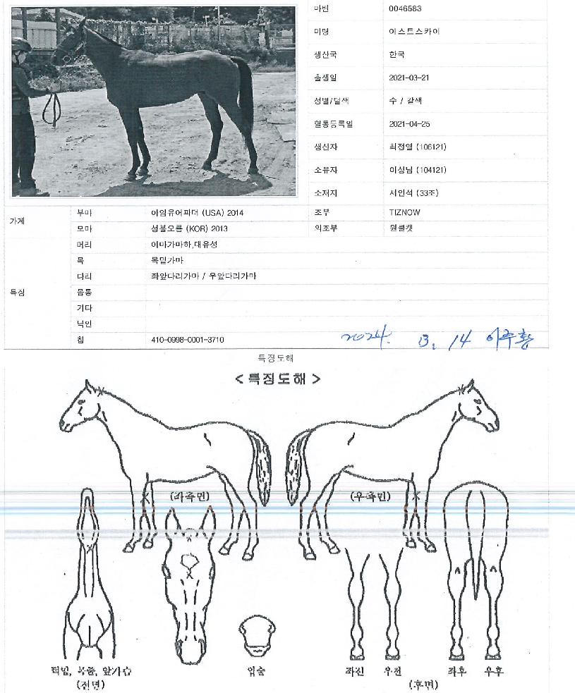 À̽ºÆ®½ºÄ«ÀÌÀÇ Ãø¸é,¿ì¸é,µÞ¸é,µÎ»ó,´Ù¸®ÀÇ Æ¯Â¡µµÇØ