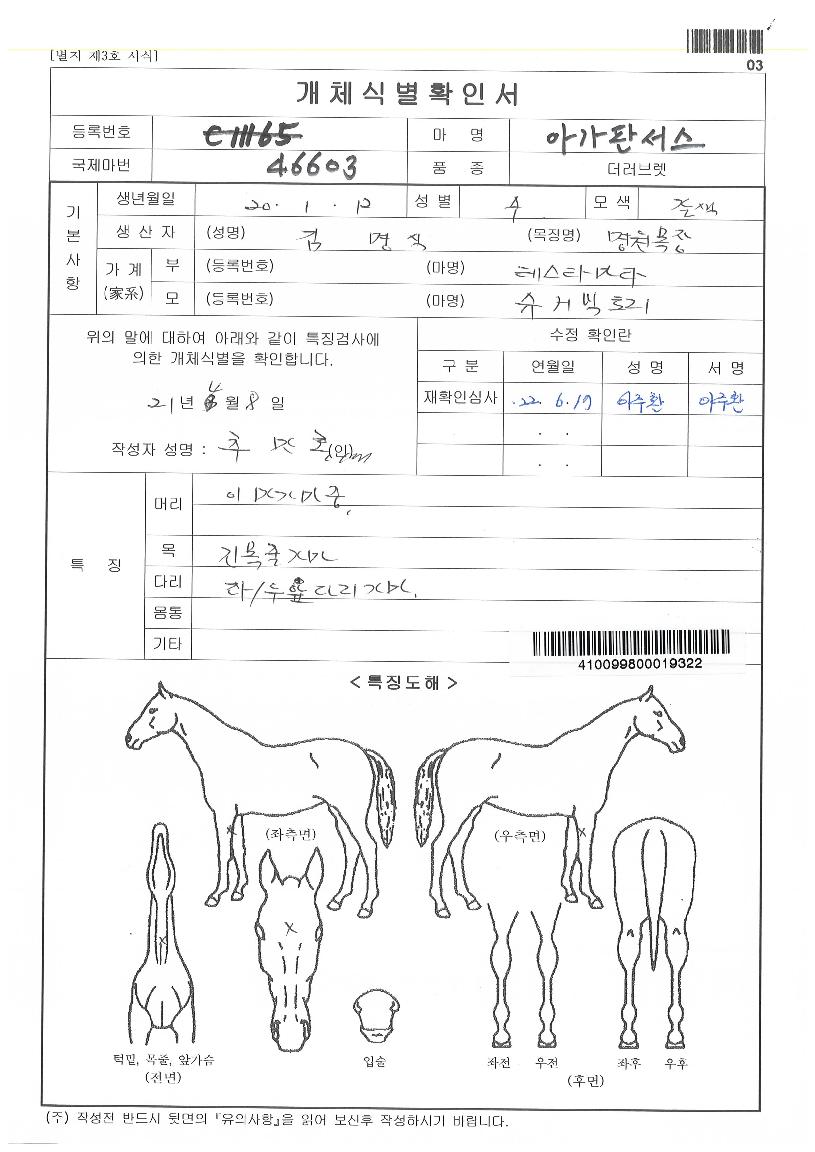 ¾Æ°¡ÆÇ¼½ºÀÇ Ãø¸é,¿ì¸é,µÞ¸é,µÎ»ó,´Ù¸®ÀÇ Æ¯Â¡µµÇØ