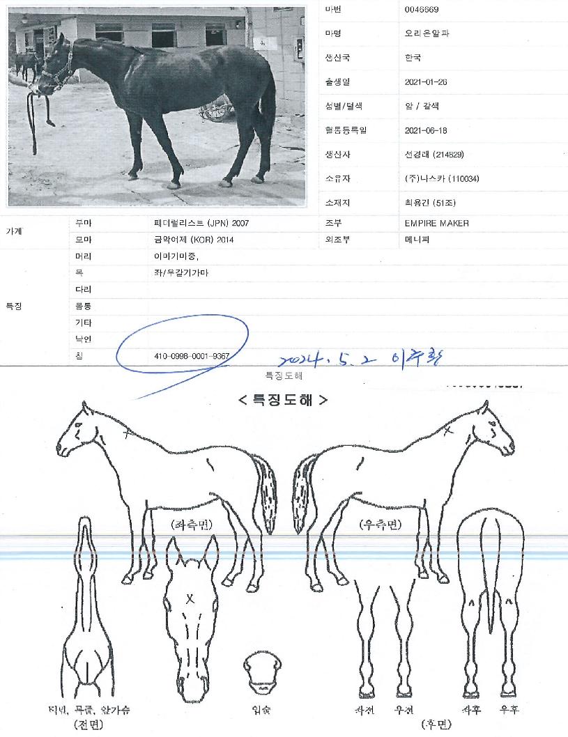 ¿À¸®¿Â¾ËÆÄÀÇ Ãø¸é,¿ì¸é,µÞ¸é,µÎ»ó,´Ù¸®ÀÇ Æ¯Â¡µµÇØ