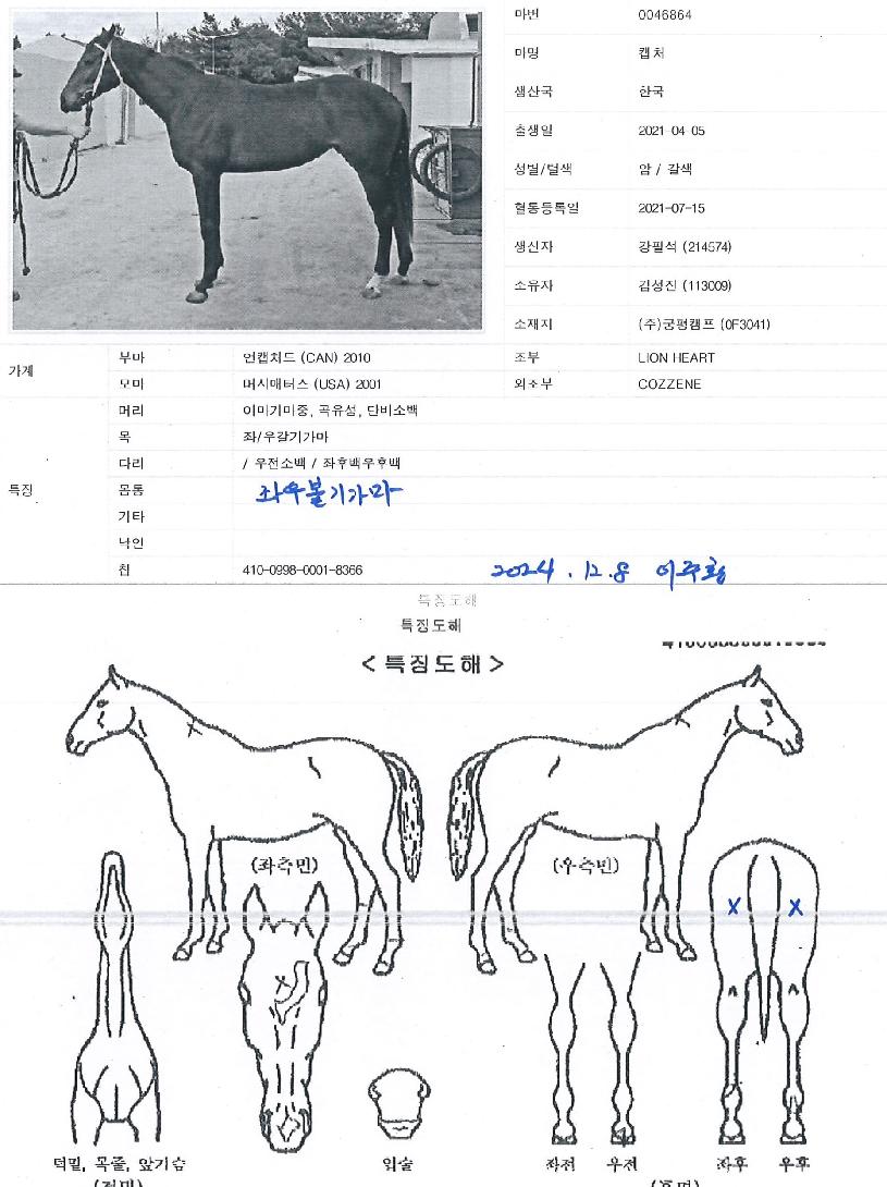 ĸóÀÇ Ãø¸é,¿ì¸é,µÞ¸é,µÎ»ó,´Ù¸®ÀÇ Æ¯Â¡µµÇØ