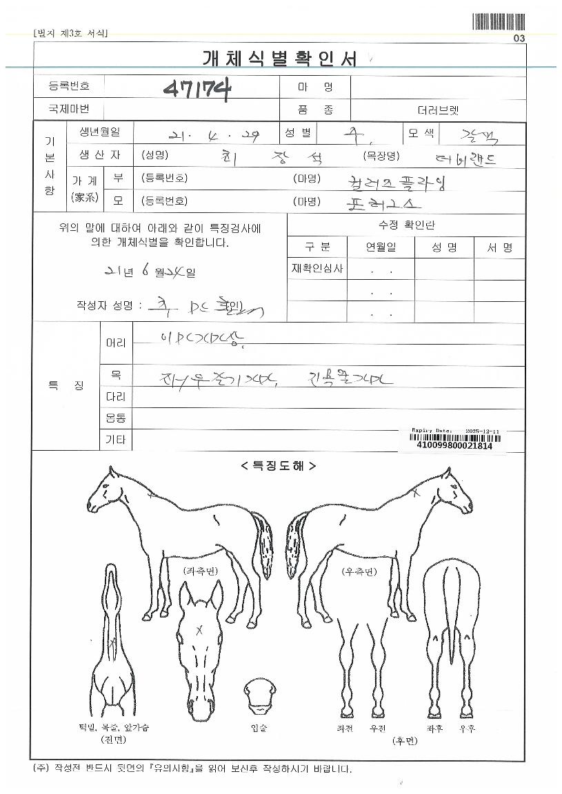 °¥»öÆ÷½ºÀÇ Ãø¸é,¿ì¸é,µÞ¸é,µÎ»ó,´Ù¸®ÀÇ Æ¯Â¡µµÇØ