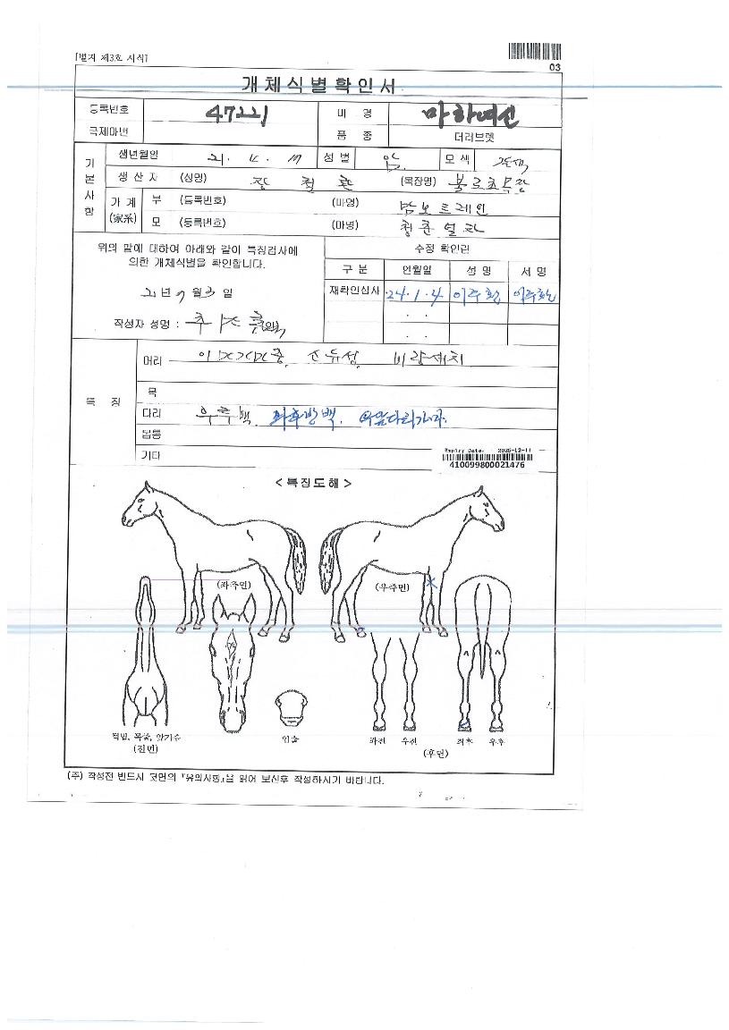 ¸¶ÇÏ¿©½ÅÀÇ Ãø¸é,¿ì¸é,µÞ¸é,µÎ»ó,´Ù¸®ÀÇ Æ¯Â¡µµÇØ