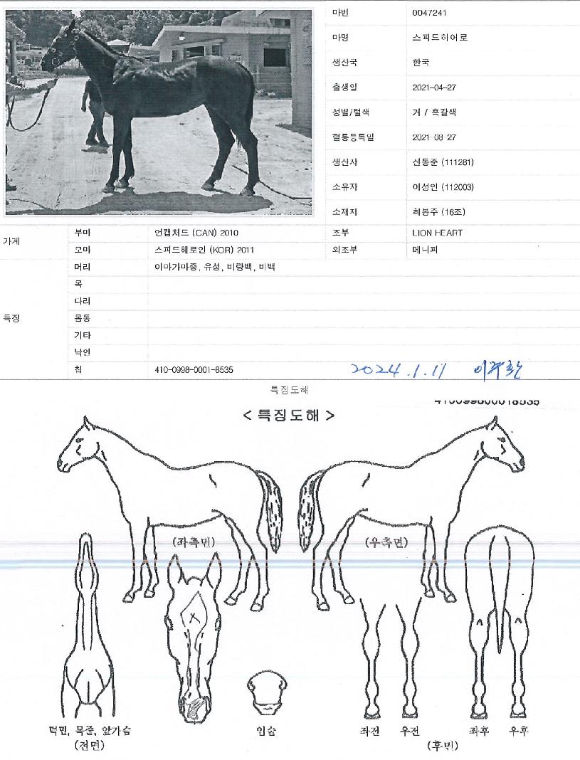 ½ºÇǵåÈ÷¾î·ÎÀÇ Ãø¸é,¿ì¸é,µÞ¸é,µÎ»ó,´Ù¸®ÀÇ Æ¯Â¡µµÇØ