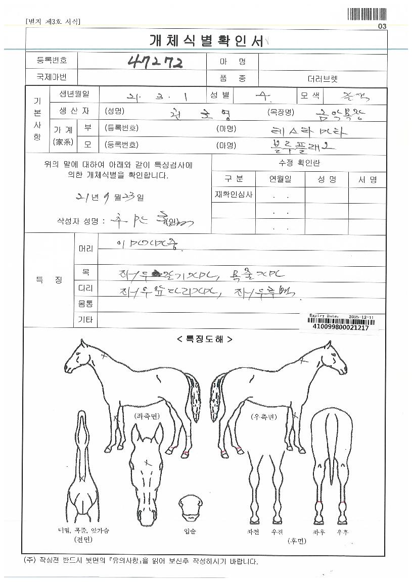 ¿ÀÅ©¸®ÁöÀÇ Ãø¸é,¿ì¸é,µÞ¸é,µÎ»ó,´Ù¸®ÀÇ Æ¯Â¡µµÇØ