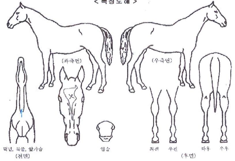 ÆÄ¿ö¹ðÅ©ÀÇ Ãø¸é,¿ì¸é,µÞ¸é,µÎ»ó,´Ù¸®ÀÇ Æ¯Â¡µµÇØ