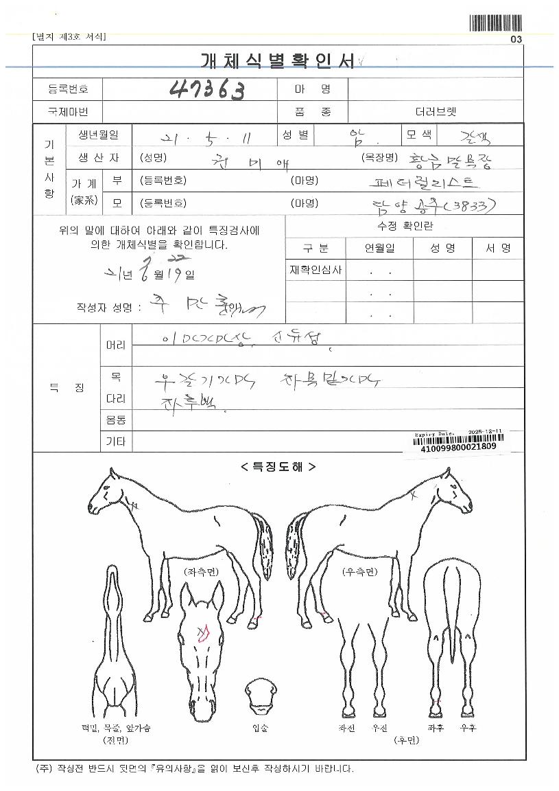 ±×¸°ºÒµµÀúÀÇ Ãø¸é,¿ì¸é,µÞ¸é,µÎ»ó,´Ù¸®ÀÇ Æ¯Â¡µµÇØ