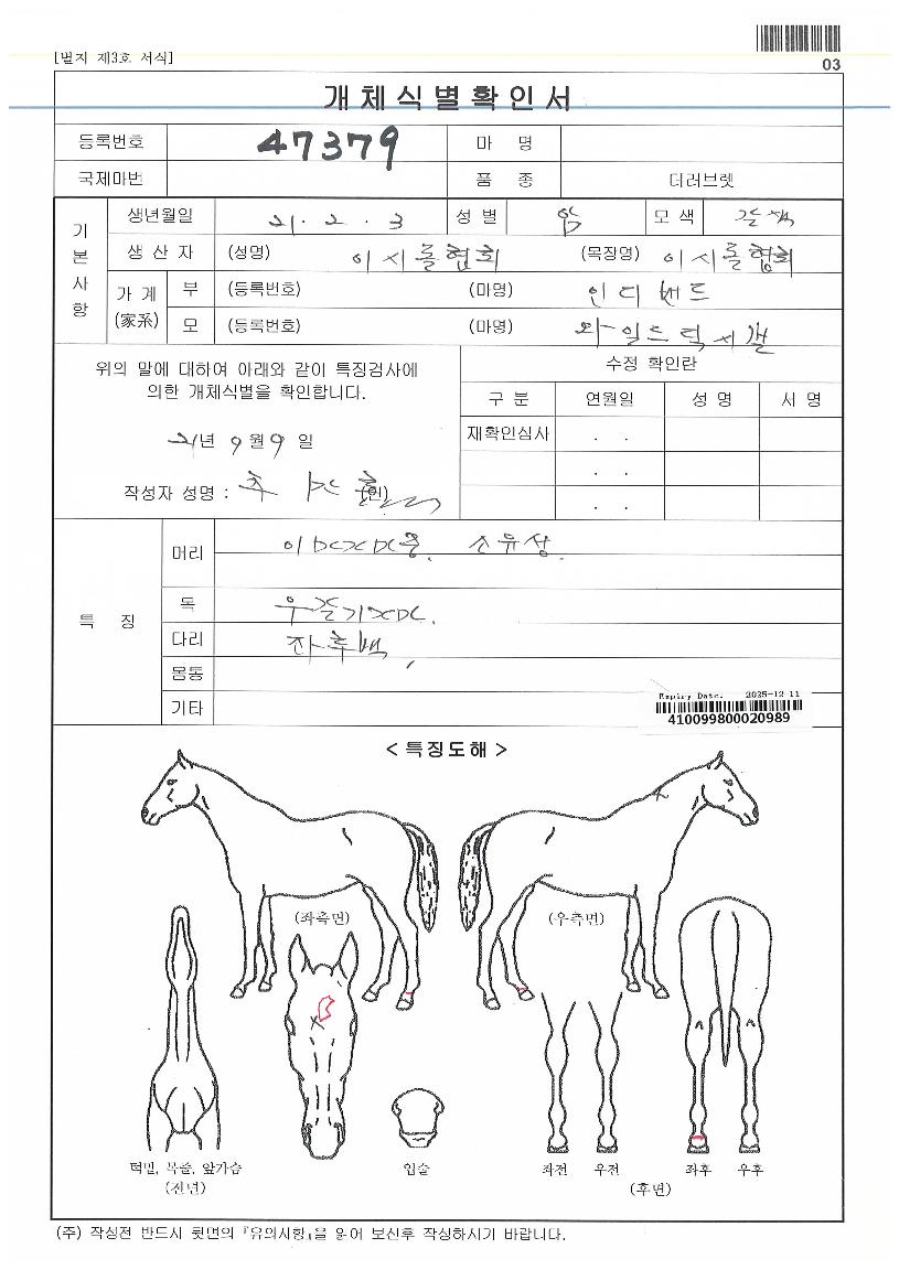 ¿ÍÀϵåµñ½ÃÀÇ Ãø¸é,¿ì¸é,µÞ¸é,µÎ»ó,´Ù¸®ÀÇ Æ¯Â¡µµÇØ