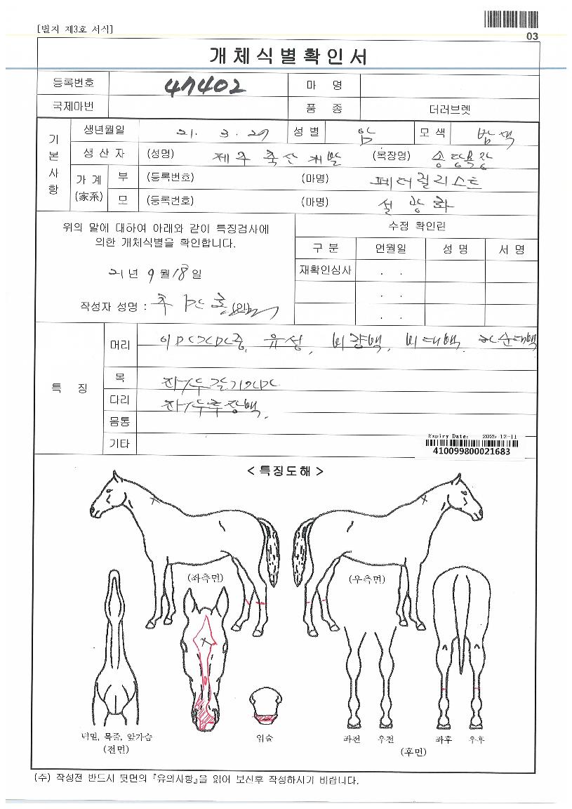 ´ë½Â¸®ÀÚÀÇ Ãø¸é,¿ì¸é,µÞ¸é,µÎ»ó,´Ù¸®ÀÇ Æ¯Â¡µµÇØ