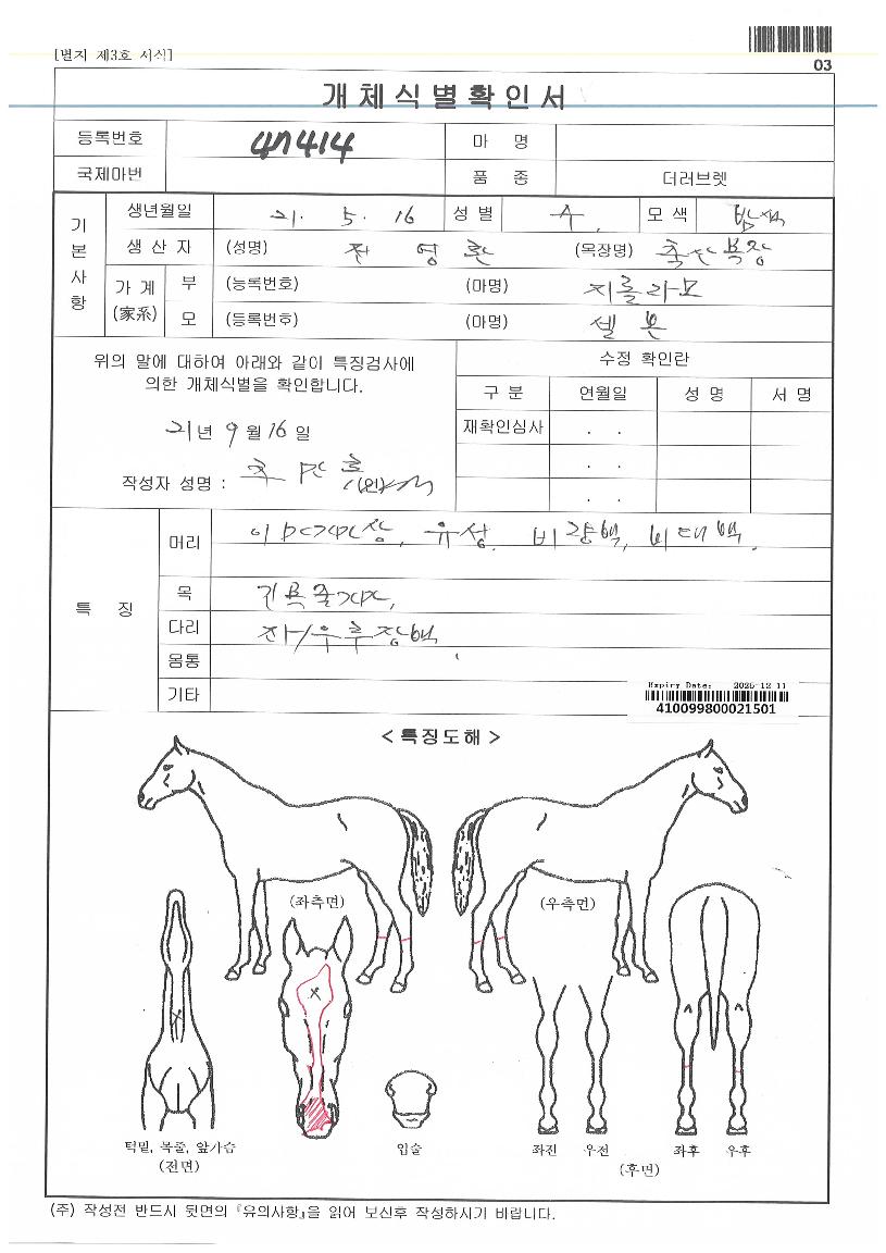 ¸ÓÁ¦½ºÆ½´í¼ÀÇ Ãø¸é,¿ì¸é,µÞ¸é,µÎ»ó,´Ù¸®ÀÇ Æ¯Â¡µµÇØ