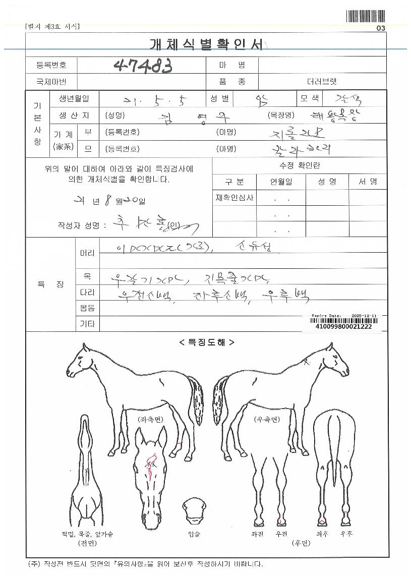 ¹Ù¸£³×ÀÇ Ãø¸é,¿ì¸é,µÞ¸é,µÎ»ó,´Ù¸®ÀÇ Æ¯Â¡µµÇØ