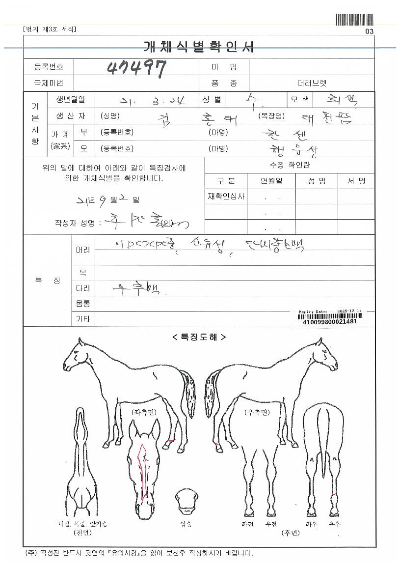 ¹ú¸¶ÀÇ¿¡À̽ºÀÇ Ãø¸é,¿ì¸é,µÞ¸é,µÎ»ó,´Ù¸®ÀÇ Æ¯Â¡µµÇØ