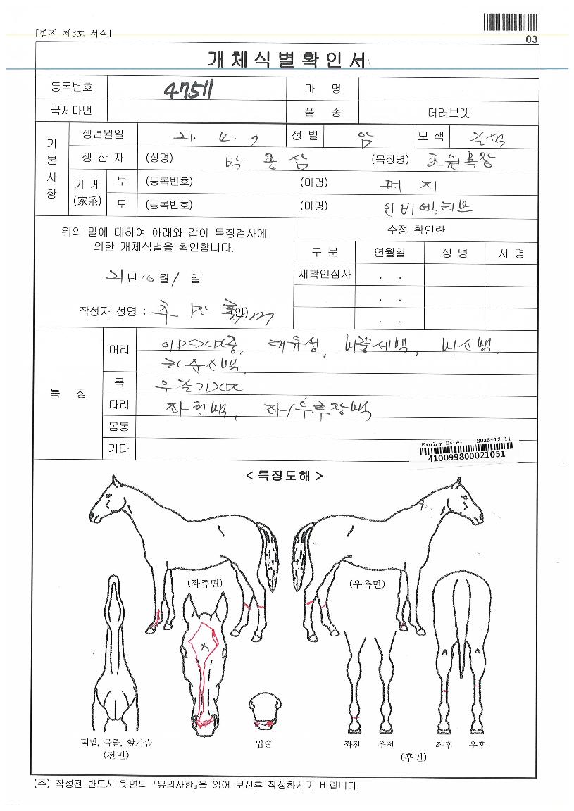 ³²ÇØ¿©°ÉÀÇ Ãø¸é,¿ì¸é,µÞ¸é,µÎ»ó,´Ù¸®ÀÇ Æ¯Â¡µµÇØ