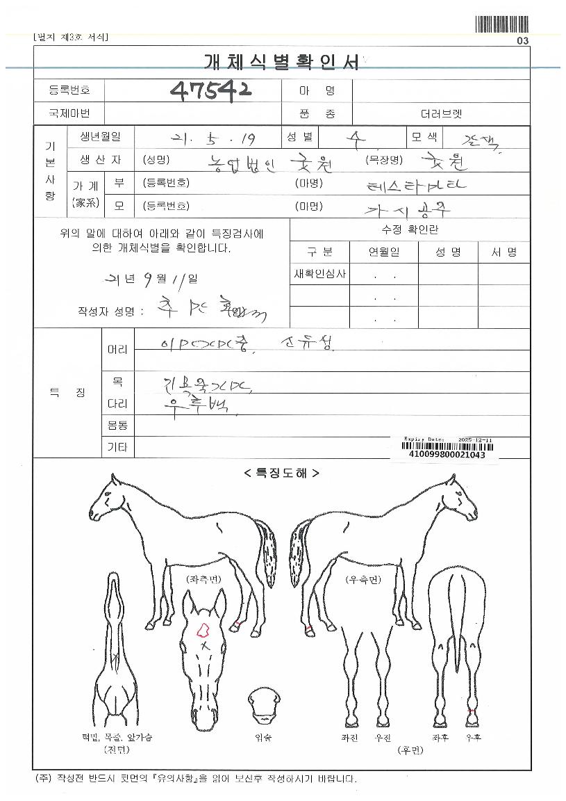 °¡½Ã°øÁÖÀÚ¸¶ÀÇ Ãø¸é,¿ì¸é,µÞ¸é,µÎ»ó,´Ù¸®ÀÇ Æ¯Â¡µµÇØ