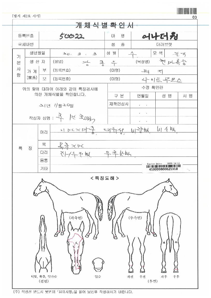 ¾î³ª´õ¿øÀÇ Ãø¸é,¿ì¸é,µÞ¸é,µÎ»ó,´Ù¸®ÀÇ Æ¯Â¡µµÇØ