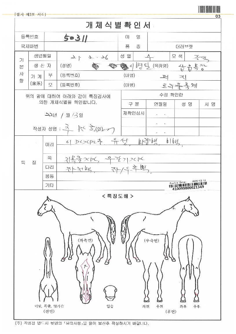 ·¯ºùº¸ÀÌÀÇ Ãø¸é,¿ì¸é,µÞ¸é,µÎ»ó,´Ù¸®ÀÇ Æ¯Â¡µµÇØ