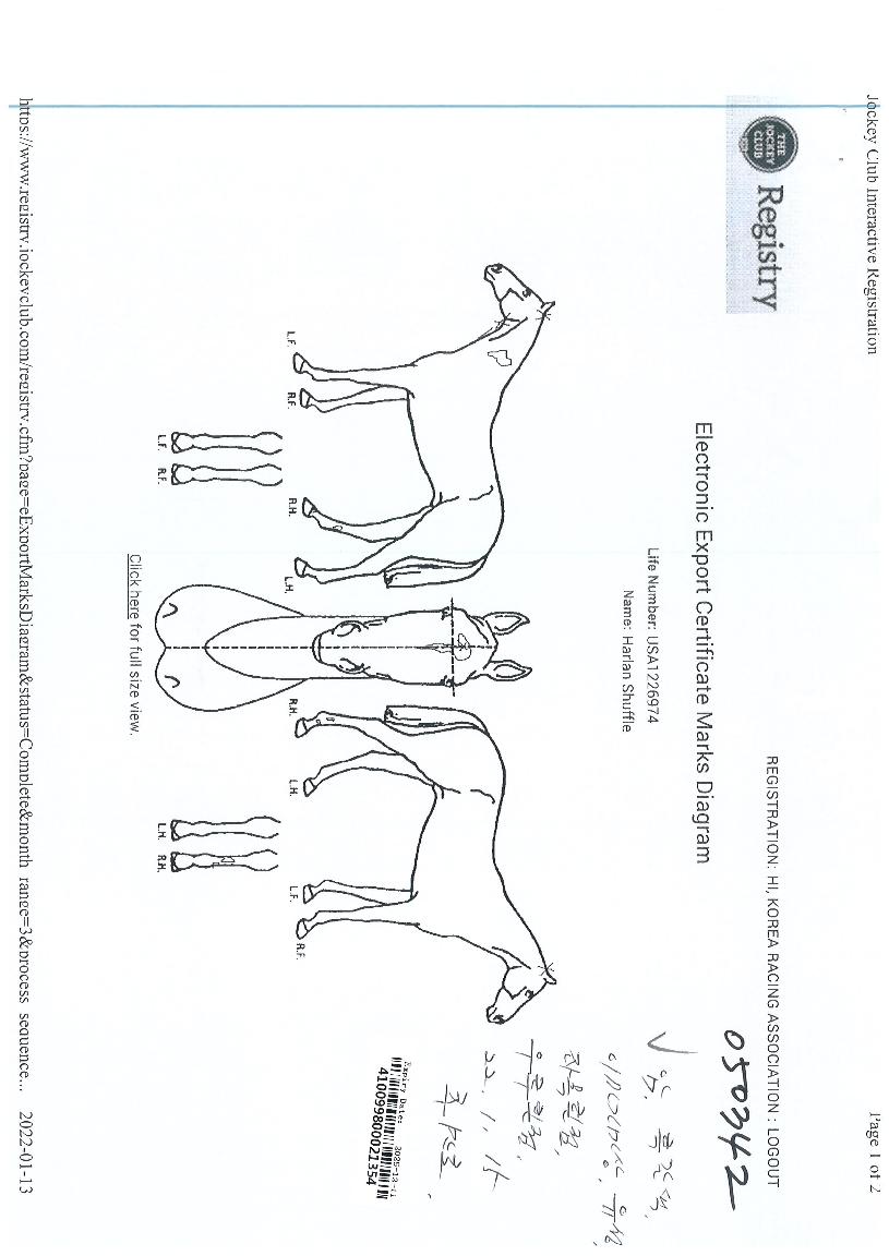 ÇÒ¶õ¼ÅÇÃÀÇ Ãø¸é,¿ì¸é,µÞ¸é,µÎ»ó,´Ù¸®ÀÇ Æ¯Â¡µµÇØ