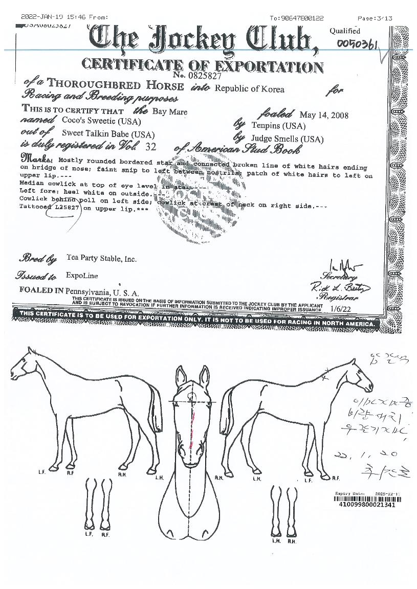 ÄÚÄÚ½º½ºÀ§Æ¼ÀÇ Ãø¸é,¿ì¸é,µÞ¸é,µÎ»ó,´Ù¸®ÀÇ Æ¯Â¡µµÇØ