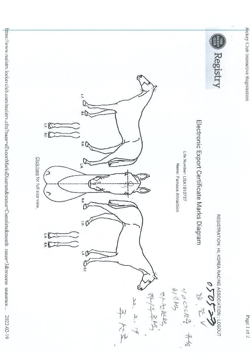 ÆÐÀ̸ӽº¾îÆ®·¢¼ÇÀÇ Ãø¸é,¿ì¸é,µÞ¸é,µÎ»ó,´Ù¸®ÀÇ Æ¯Â¡µµÇØ