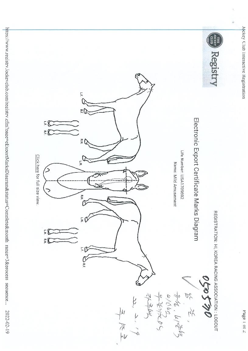 ¸¶Àϵå¾î¹ÂÁî¸ÕÆ®ÀÇ Ãø¸é,¿ì¸é,µÞ¸é,µÎ»ó,´Ù¸®ÀÇ Æ¯Â¡µµÇØ