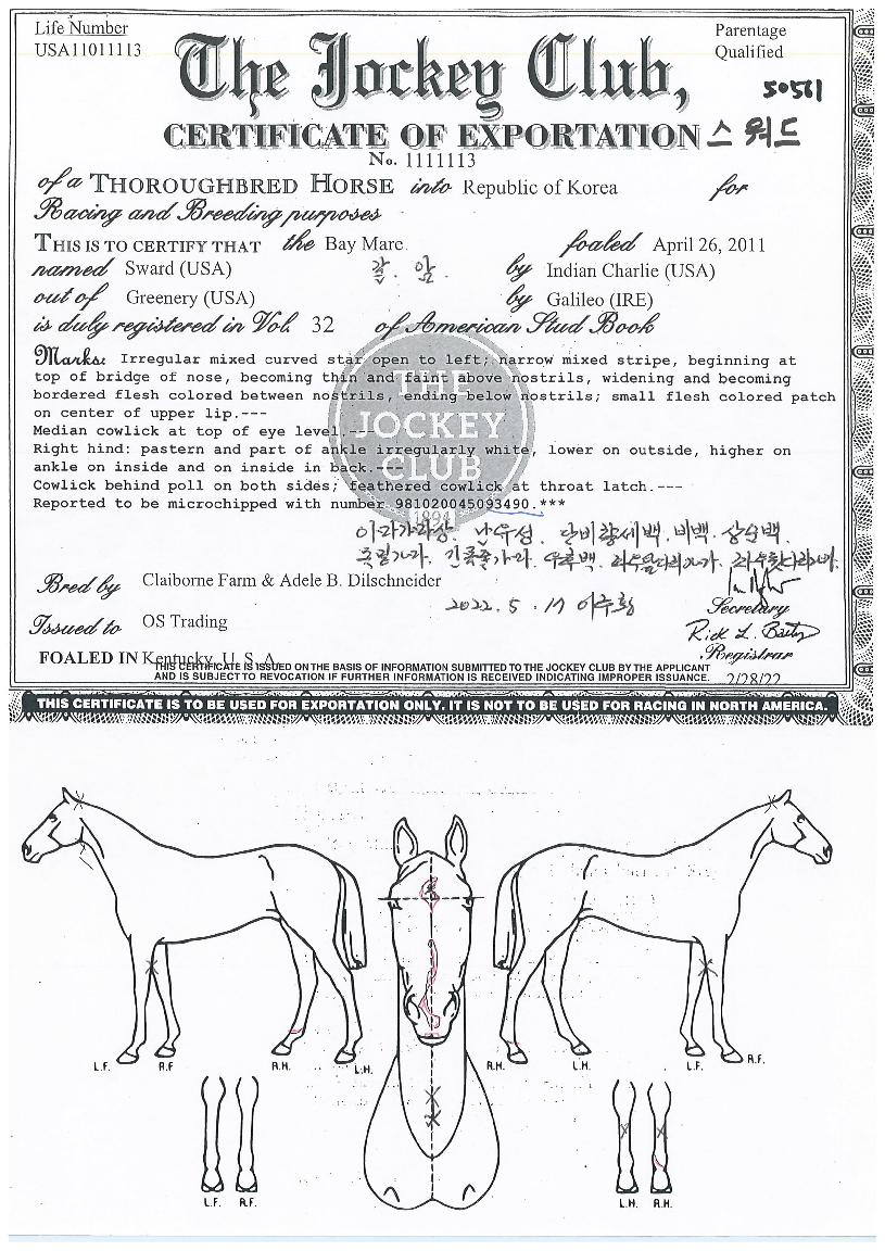 ½º¿öµåÀÇ Ãø¸é,¿ì¸é,µÞ¸é,µÎ»ó,´Ù¸®ÀÇ Æ¯Â¡µµÇØ