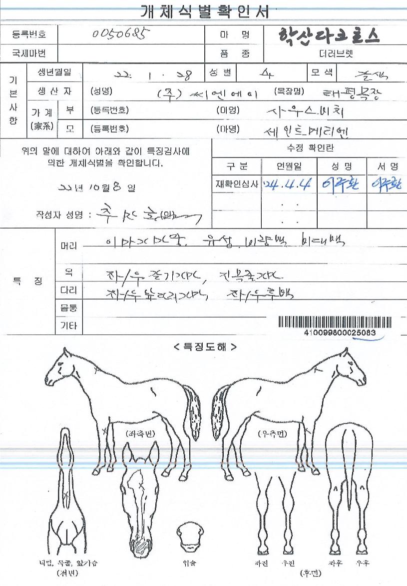 Çлê´Ùũȣ½ºÀÇ Ãø¸é,¿ì¸é,µÞ¸é,µÎ»ó,´Ù¸®ÀÇ Æ¯Â¡µµÇØ