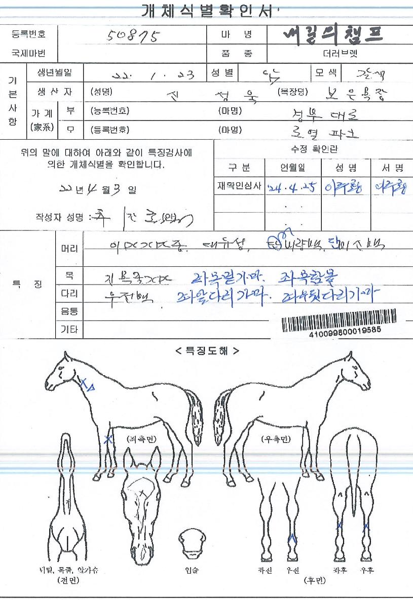 ³»±æÀÇèÇÁÀÇ Ãø¸é,¿ì¸é,µÞ¸é,µÎ»ó,´Ù¸®ÀÇ Æ¯Â¡µµÇØ