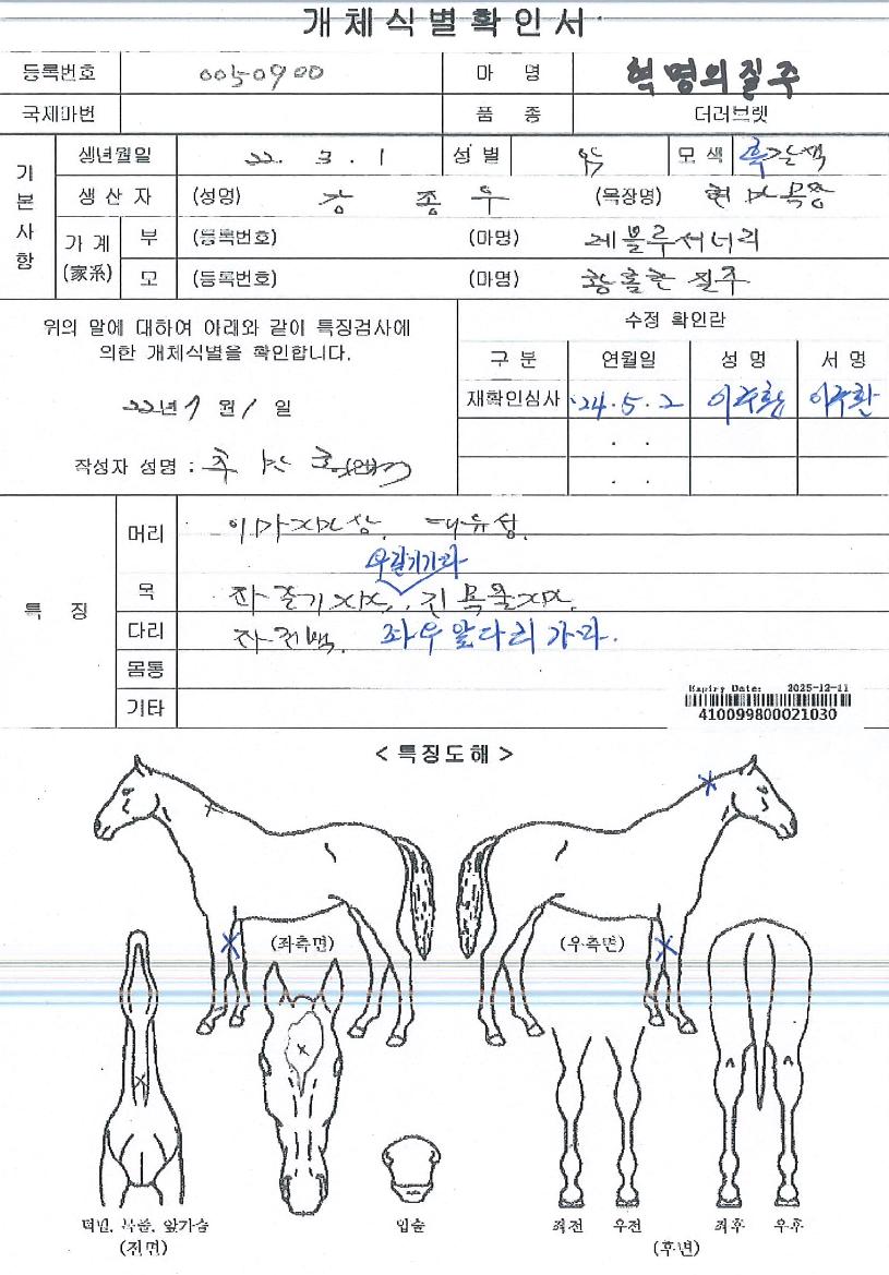 Çõ¸íÀÇÁúÁÖÀÇ Ãø¸é,¿ì¸é,µÞ¸é,µÎ»ó,´Ù¸®ÀÇ Æ¯Â¡µµÇØ