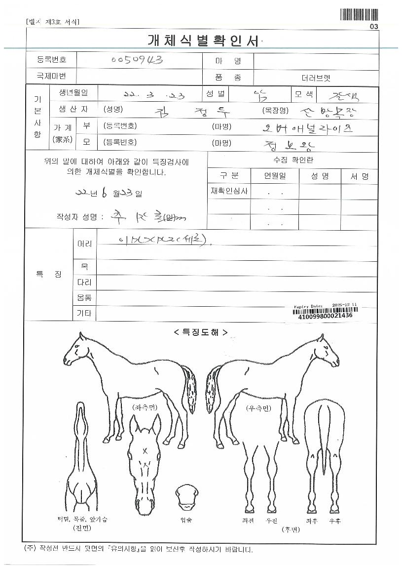 ¿À¹ö´õÄýÀÇ Ãø¸é,¿ì¸é,µÞ¸é,µÎ»ó,´Ù¸®ÀÇ Æ¯Â¡µµÇØ