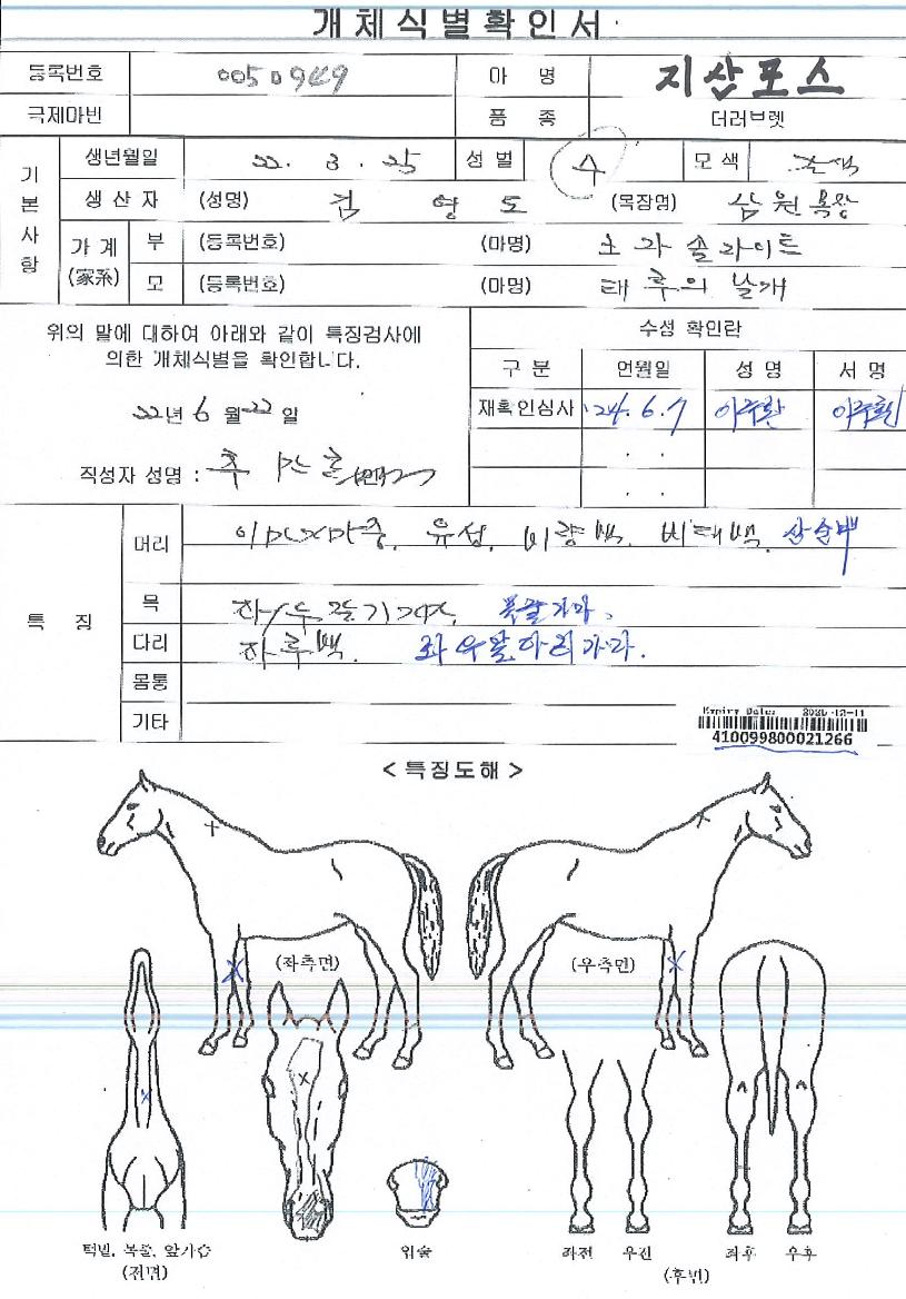 Áö»êÆ÷½ºÀÇ Ãø¸é,¿ì¸é,µÞ¸é,µÎ»ó,´Ù¸®ÀÇ Æ¯Â¡µµÇØ