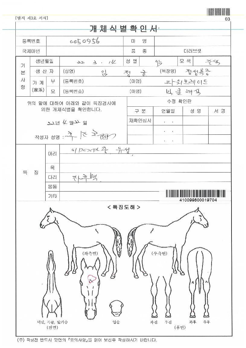 ºòŬ·¡½ÄÀÚ¸¶ÀÇ Ãø¸é,¿ì¸é,µÞ¸é,µÎ»ó,´Ù¸®ÀÇ Æ¯Â¡µµÇØ