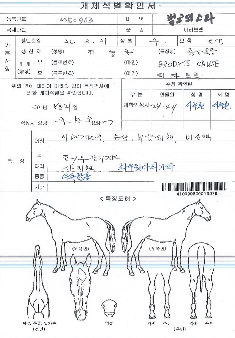 ¹ú±³ÀǽºÅ¸ÀÇ Ãø¸é,¿ì¸é,µÞ¸é,µÎ»ó,´Ù¸®ÀÇ Æ¯Â¡µµÇØ